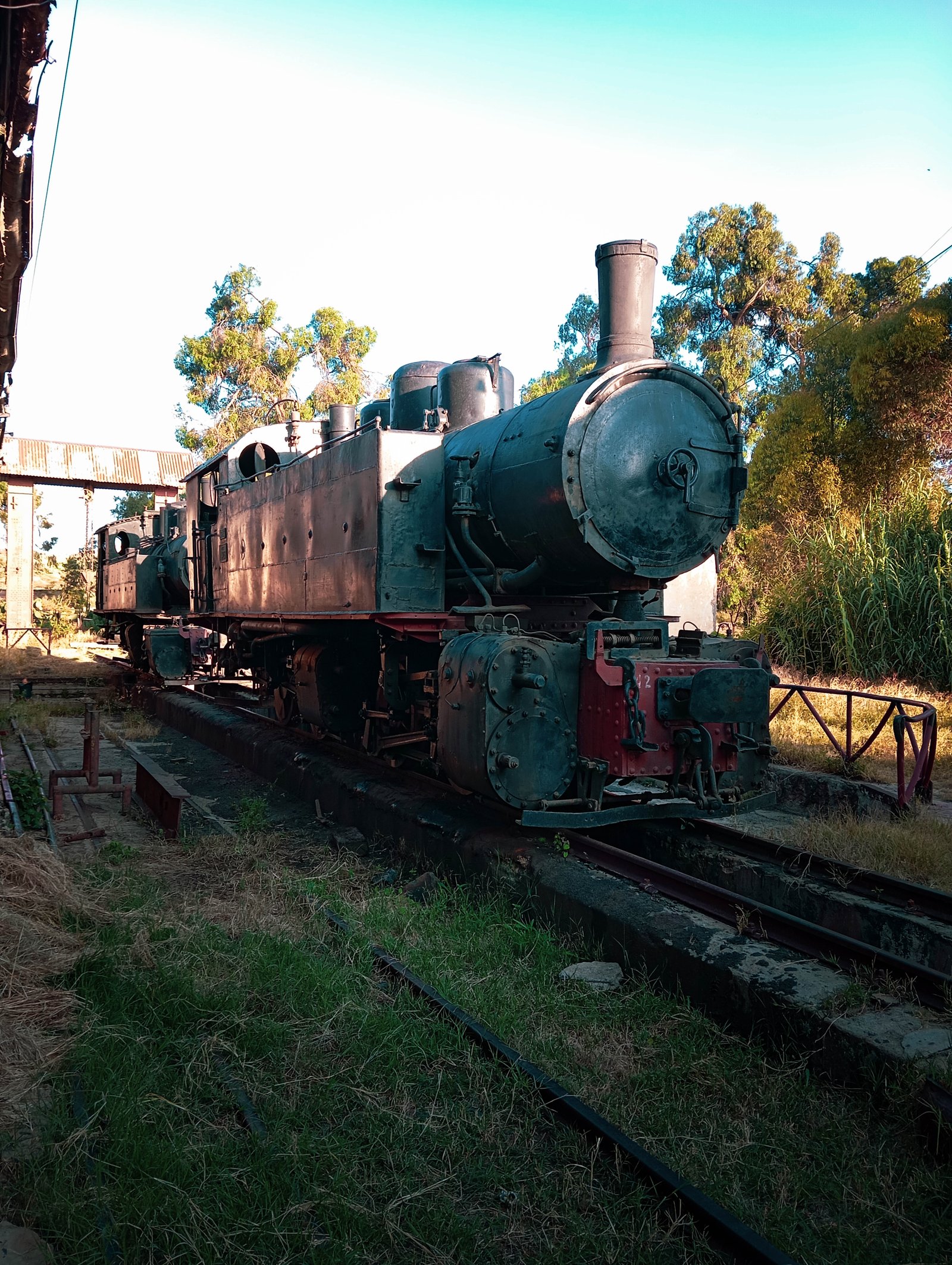 Steam Train Experience